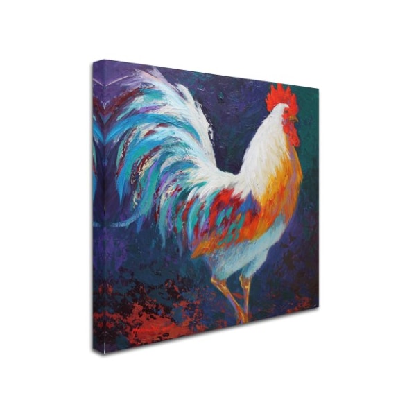 Marion Rose 'Rooster' Canvas Art,18x18